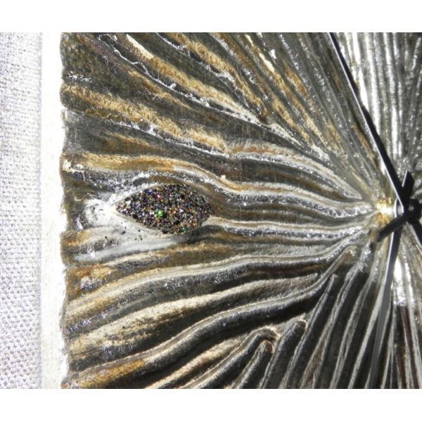Fossile Pintdecor