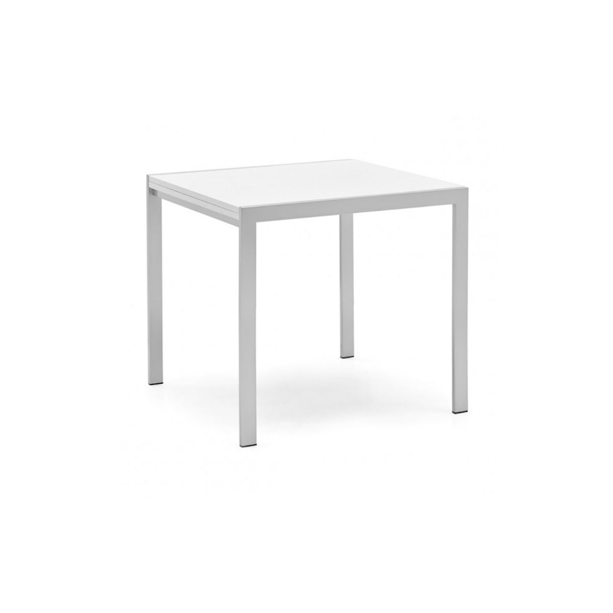 Aladino Q80 Connubia