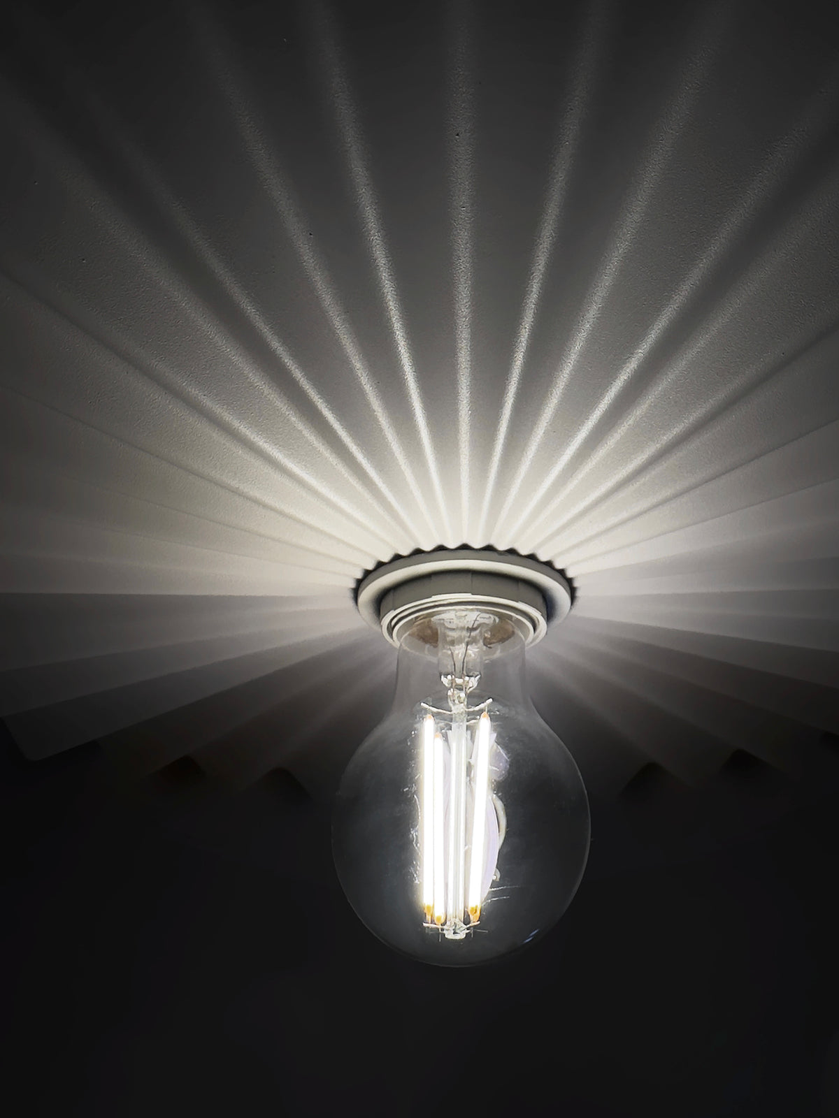 Doge-S Linea Light