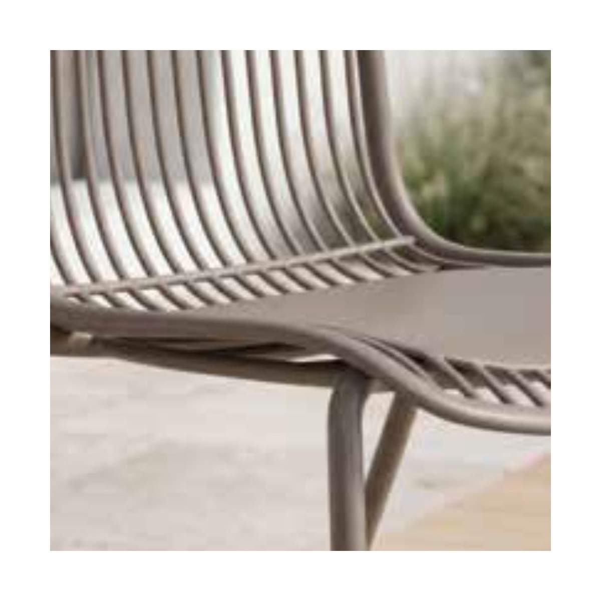 Sedie Madrid La Seggiola in legno con schienale curvato e seduta imbottita, in stile elegante e moderno.